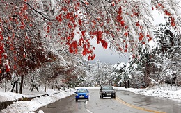 Tận hưởng mùa tuyết xứ Hàn