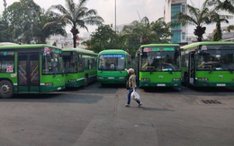Than lỗ 8,5 tỉ, doanh nghiệp xe buýt TP.HCM xin ngưng một tuyến đông khách