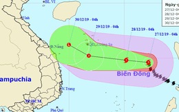 Bão số 8 giật cấp 14, cách Hoàng Sa 550km, biển động dữ dội