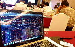 Chứng khoán 2019 có gì lạ?