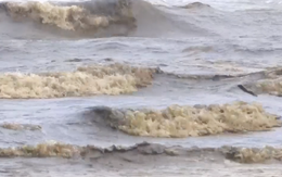 Video: Nước biển có màu đen vàng kéo dài hơn 2km ở Quảng Ngãi