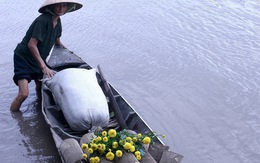 'Về quê ăn tết' lay động hàng vạn trái tim Việt ngày tết