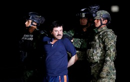Trùm ma túy Mexico Joaquin Guzman bị kết tội tại Mỹ