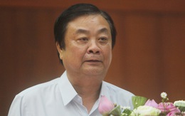 Ông Lê Minh Hoan: 'Cần chiến lược dài hạn cho hạt gạo Đồng bằng thay vì giải cứu'