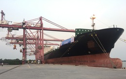 TP.HCM đón tàu 'khủng' chuyển hàng hoá trực tiếp từ Australia