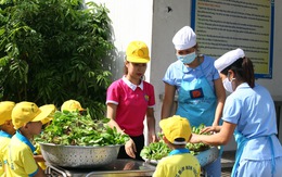 Học sinh nhiễm sán lợn, Bộ yêu cầu sở GD-ĐT Bắc Ninh kiểm tra, báo cáo