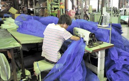Thị trường lao động Nhật Bản - Kỳ 4: Cơ hội lớn cho lao động Việt Nam
