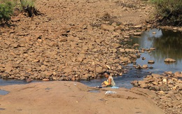Người dân Tây nguyên lo lắng vì hạn hán, thiếu nước
