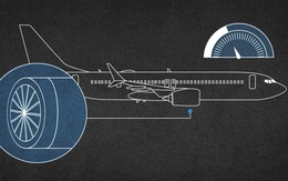 737 MAX trở thành 'gà đẻ trứng vàng' của Boeing ra sao?