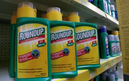 Tòa Mỹ lại xác định thuốc diệt cỏ Roundup gây ung thư