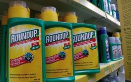 Việt Nam cấm nhập khẩu thuốc trừ cỏ có hoạt chất Glyphosate