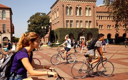 ĐH Yale, Stanford bị học sinh kiện sau bê bối chạy trường