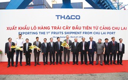 Thaco xây nền nông nghiệp công nghệ cao