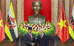 Việt Nam - Brunei thiết lập đối tác toàn diện