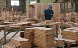 Thủ tướng ra chỉ thị để phát triển ngành gỗ 'hàng đầu thế giới'