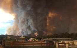 Cháy kinh hoàng ở Úc
