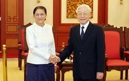 Lãnh đạo cấp cao Việt Nam tiếp Chủ tịch Quốc hội Lào