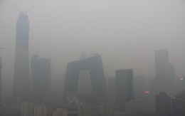 Doanh nghiệp châu Á chật vật giữ người tài vì ô nhiễm không khí