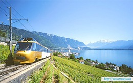 Đến Thụy Sĩ ngắm cảnh, tham quan Lucerne – Interlaken