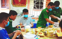 Mở rộng điều tra vụ tàng trữ hơn 700kg ma túy đá ở Nghệ An