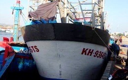 Địa phương không thể can thiệp khi ngư dân bị xiết nợ 'tàu 67'