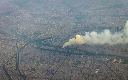 Thảm họa nhà thờ Đức Bà Paris: 'Không ngờ gỗ sồi già cháy nhanh thế'