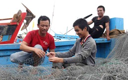 Lo 'khuyết' nhân lực đi biển: 'Teo tóp' dạy nghề khai thác