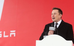 Giao xe hơi điện không kịp, cổ phiếu Tesla của tỉ phú Elon Musk giảm mạnh