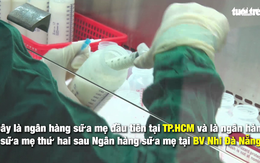 Video quy trình hiến tặng sữa mẹ an toàn tại bệnh viện Từ Dũ
