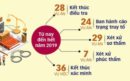 Công bố 8 'đại án' sẽ xét xử trong năm 2019