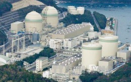 Nhật Bản yêu cầu rà soát việc sử dụng lao động nước ngoài ở Fukushima