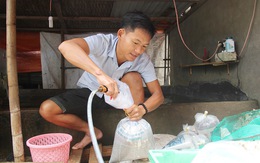 Những người trẻ của đảo Lý Sơn - Kỳ 1: Chàng kỹ sư đi bán cá