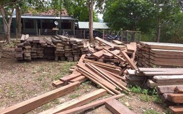4,6m3 gỗ được giữ trái phép trong trụ sở UBND xã