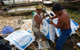 Cá bè chết tại La Ngà: Thông số ô nhiễm hữu cơ vượt chuẩn nhiều lần