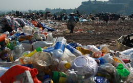 Đà Nẵng kêu gọi dân làm 'cuộc cách mạng' phân loại rác