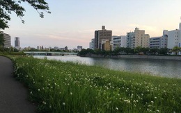 Đến Hiroshima, nơi ngân nga điệu hòa bình