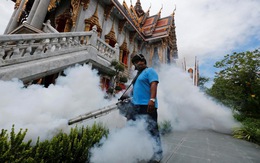 Thái Lan phun thuốc diệt muỗi để kiểm soát dịch sốt Chikungunya