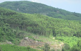 Một kiểm lâm mất tích bí ẩn ở Bình Định