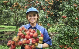 Bất ngờ lá, vỏ, hạt chôm chôm Việt thành mỹ phẩm cao cấp nhất thế giới