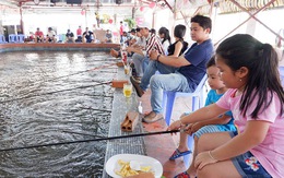 Ngày hè, cả nhà đi câu, ngắm sông Sài Gòn bằng buýt