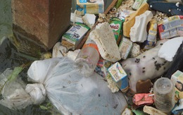 Ớn lạnh với xác heo chết, rác thải trên nguồn nước cấp cho TP Thanh Hóa