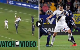 Video Ibrahimovic gây sốt với siêu phẩm 'xe đạp chổng ngược'