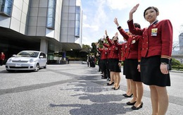 Doanh nghiệp Nhật Bản muốn tuyển dụng cựu thực tập sinh Việt Nam