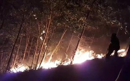 150 ha rừng keo cháy ngùn ngụt, quân dân Quảng Nam trắng đêm dập lửa