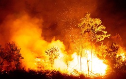 Dân đốt cành lá keo rụng, rừng lại cháy ngùn ngụt trong đêm Hà Tĩnh