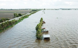 Sản xuất thuận thiên: Thành bại tại đê bao