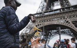 Thế giới kinh doanh phi pháp bên chân tháp Eiffel