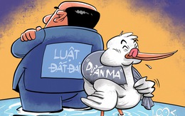 Luật lệ lỏng lẻo béo cho kẻ lừa