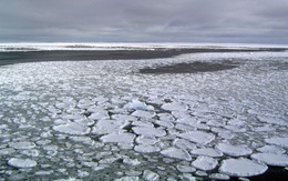 Diện tích băng ở Nam Cực thu hẹp một cách bí ẩn
