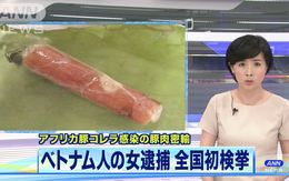 Du học sinh Việt bị bắt vì đem 10kg nem chua dính dịch tả heo vào Nhật